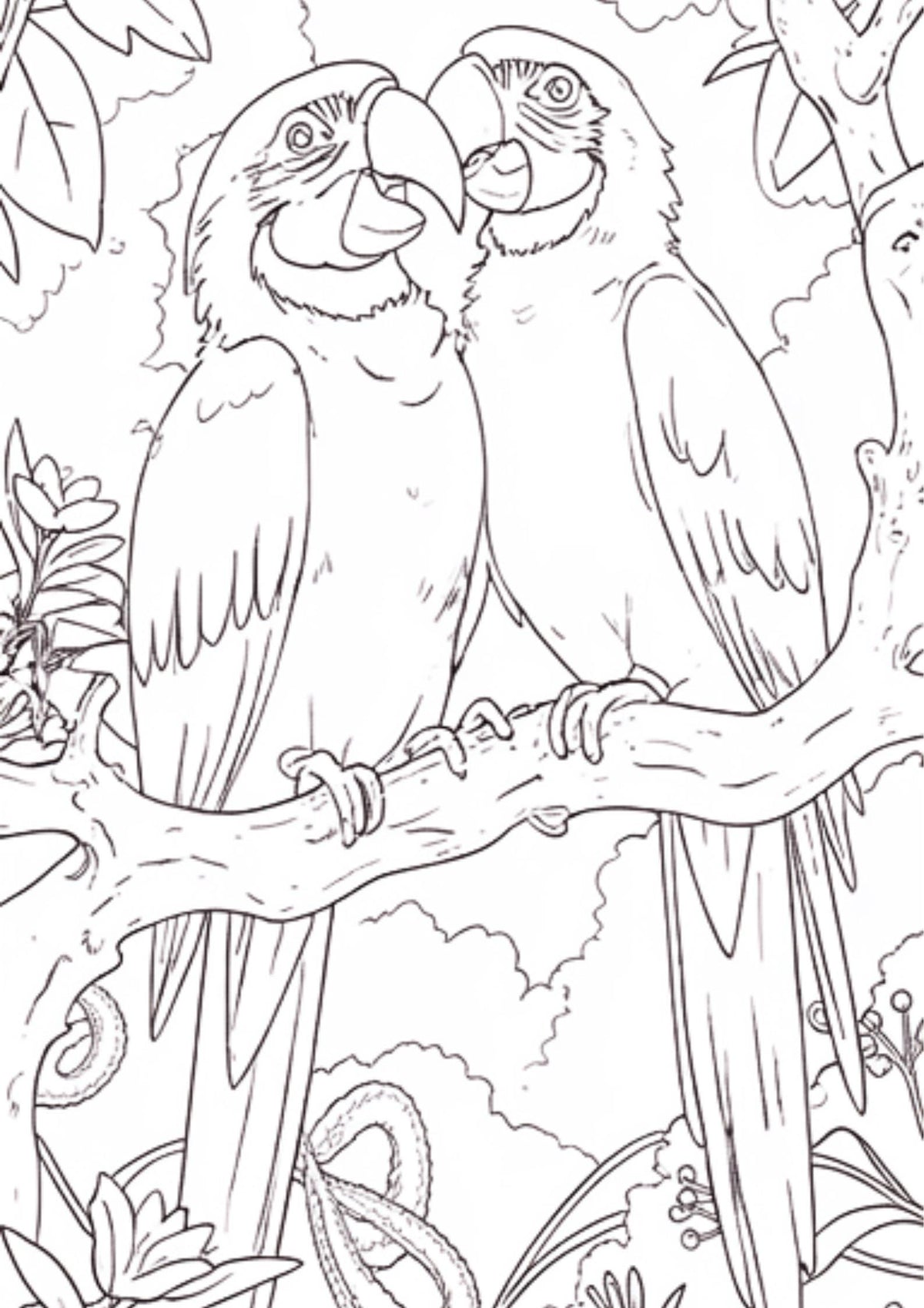 100-page Birds Picture + Colouring Book for Kids Fun Activity