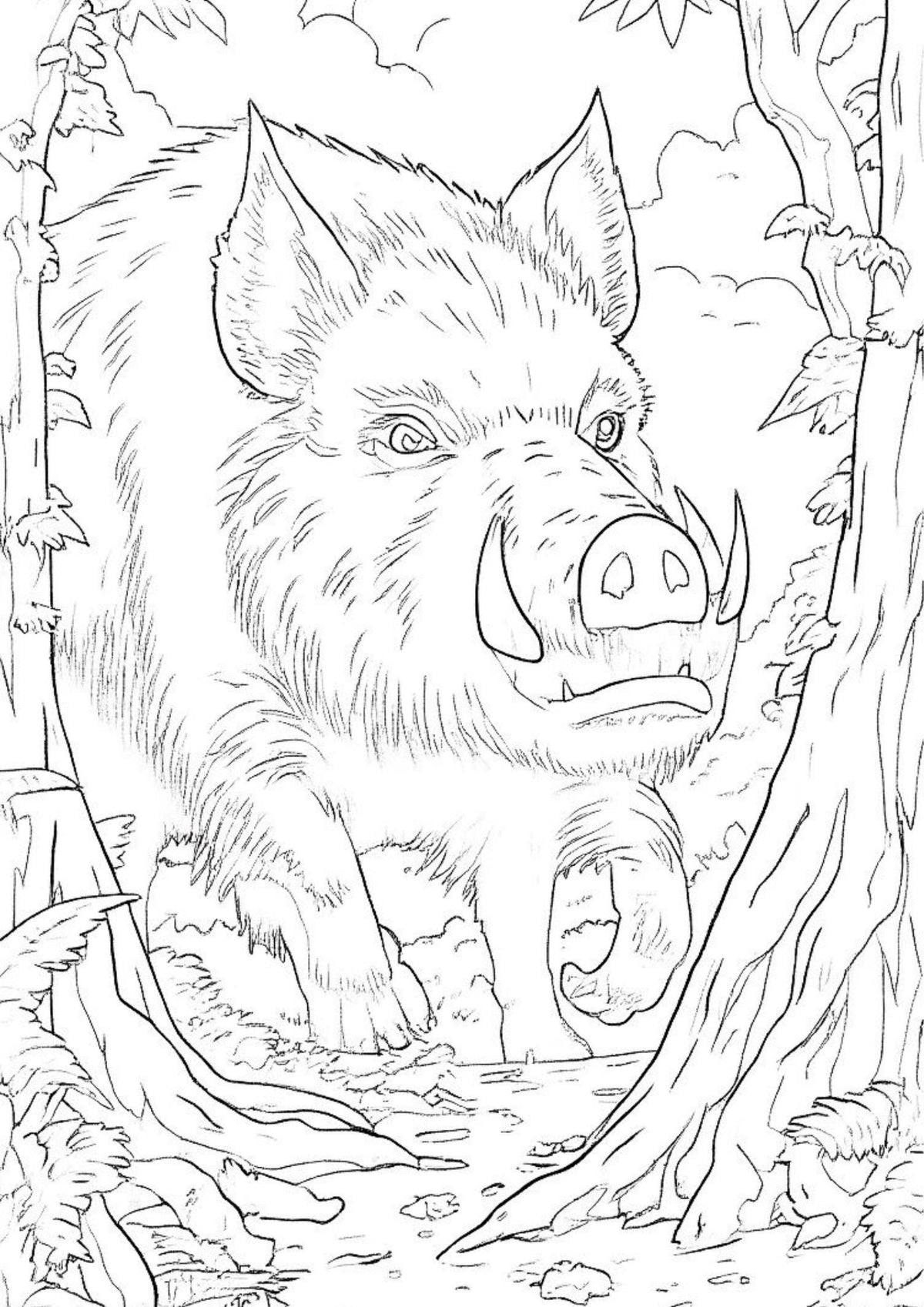 100 Page - Wild Animals Picture + Colouring Book for Kids Fun Activity