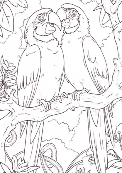 100-page Birds Picture + Colouring Book for Kids Fun Activity