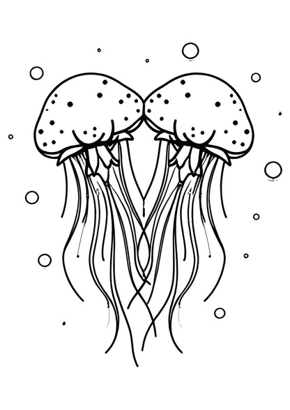 Colouring Book of Ocean Animals for Children Art Activity