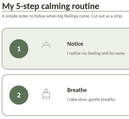 Emotion Regulation Cards Printable, Feelings and Calm Down Strategy Cards, SEND Autism EYFS Wellbeing Resource for Home and School, PDF