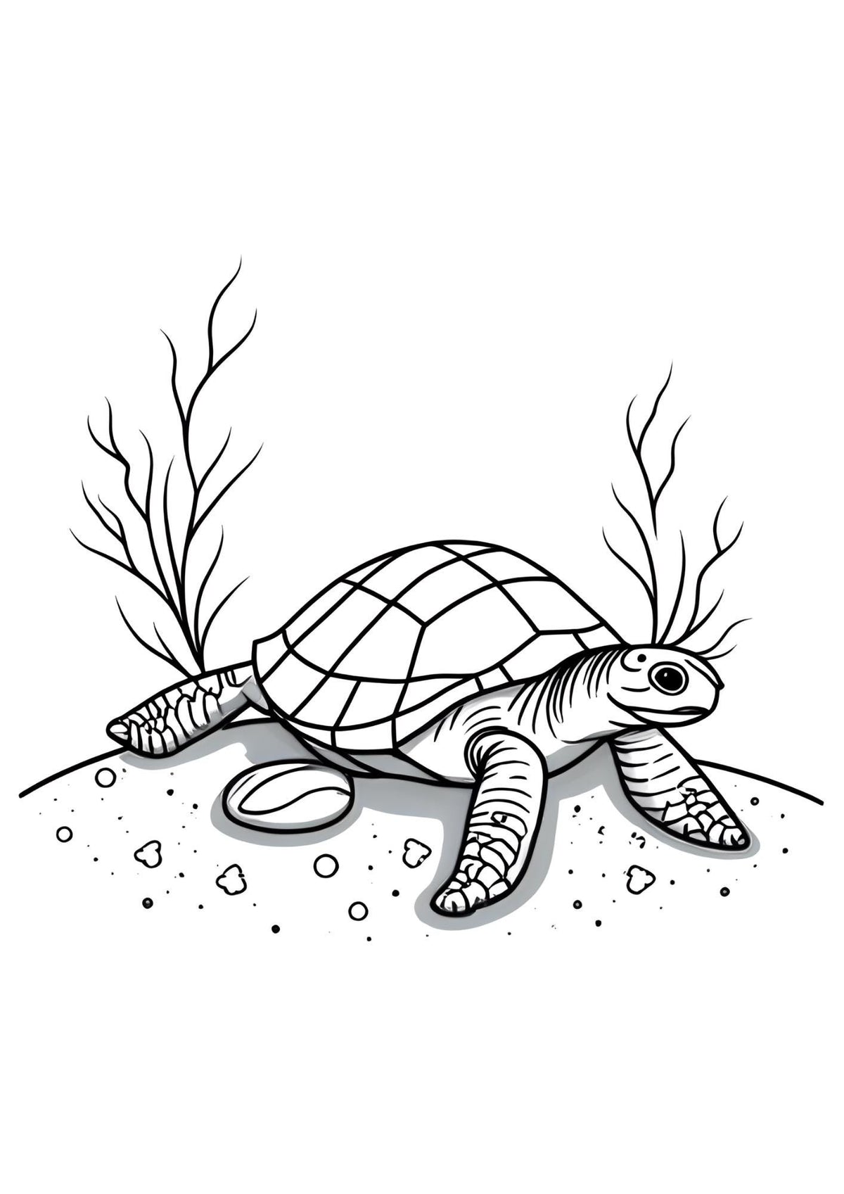 Colouring Book of Ocean Animals for Children Art Activity