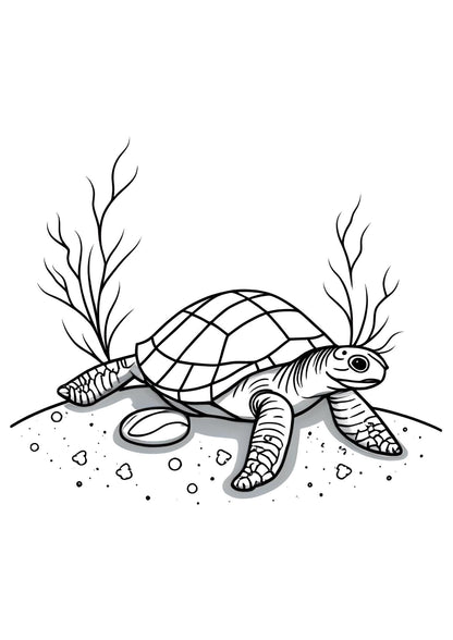 Colouring Book of Ocean Animals for Children Art Activity
