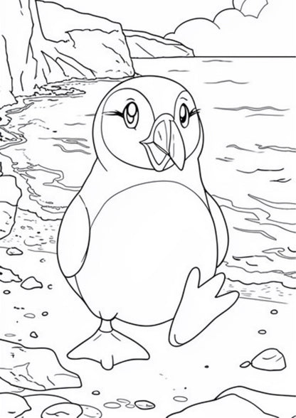 100-page Birds Picture + Colouring Book for Kids Fun Activity