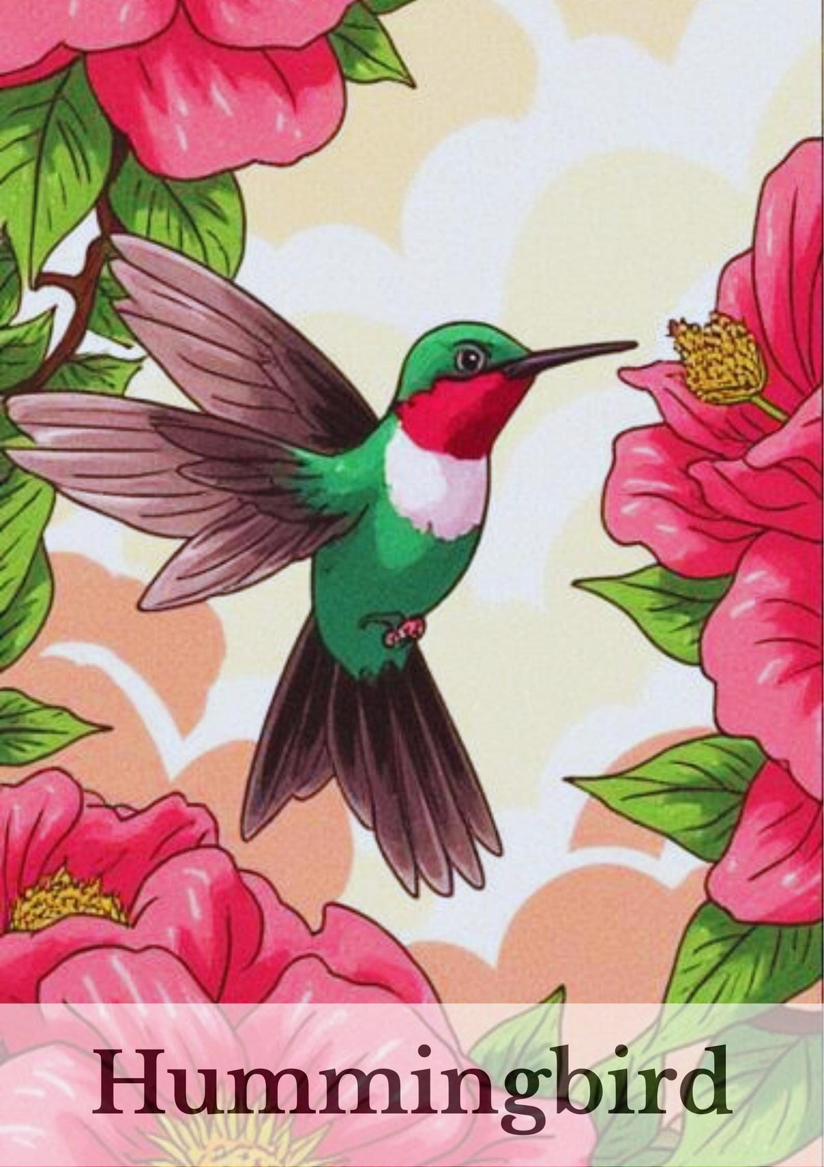100-page Birds Picture + Colouring Book for Kids Fun Activity