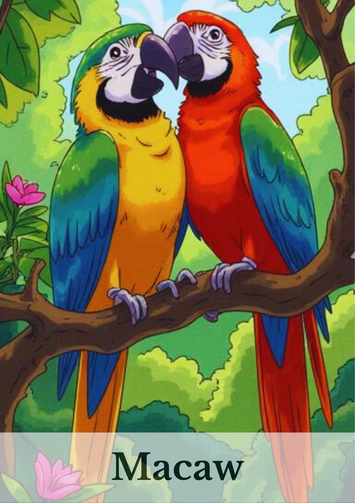 100-page Birds Picture + Colouring Book for Kids Fun Activity