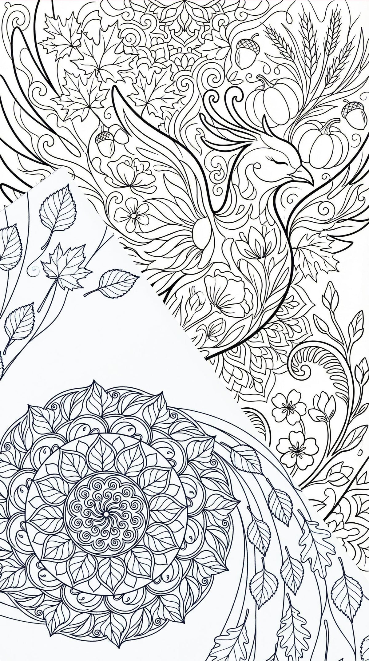 Part-1 Seasons of the Mind Adult Coloring Book, Stress Relief (Downloadable PDF)
